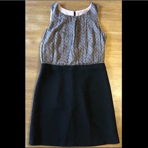 Loft Pleated Bodice Dress